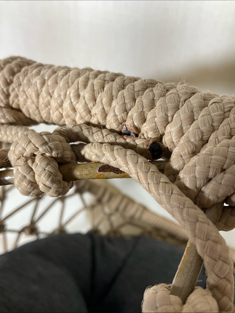 Woven Rope Cat Bed with Cushion - Picture 8 of 16